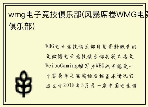 wmg电子竞技俱乐部(风暴席卷WMG电竞俱乐部)
